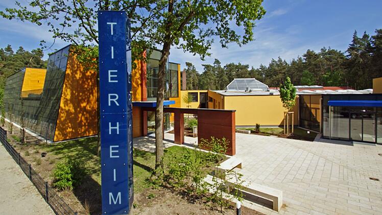 Tierheim Nürnberg startet Aufruf - "ist keine Phrase"