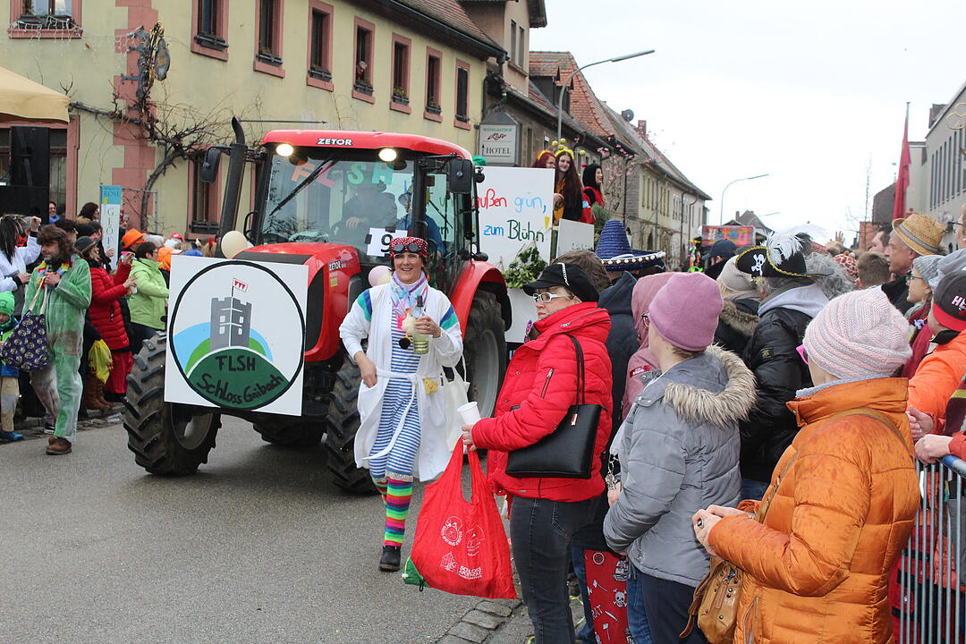 Kreisfaschingsumzug 2020