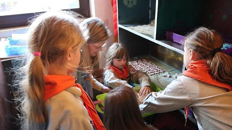 70 Jahre Pfadfinder. Foto: Heike Beudert