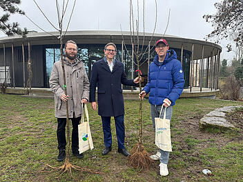 Stadt Würzburg setzt Projekt "Baum fürs Baby" fort - "freuen uns über positive Rückmeldungen"