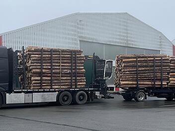 Überladener Holztransporter gestoppt