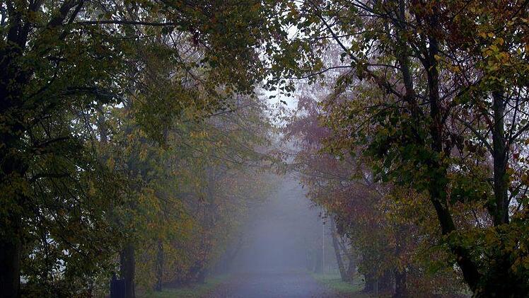 In Nordrhein-Westfalen wurde eine 17-Jährige am Wochenende vergewaltigt. Auf dem Heimweg zerrten sie zwei Unbekannte in ein Gebüsch und missbrauchten sie. Die Polizei sucht nun Zeugen.  Symbolbild: pixabay.com/Arcaion