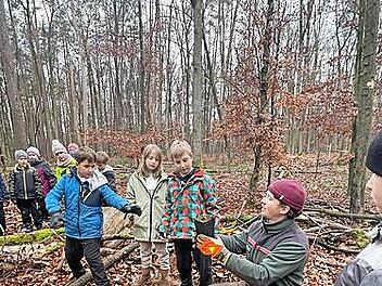 Wie Schönbrunn seinen Wald zukunftssicher macht