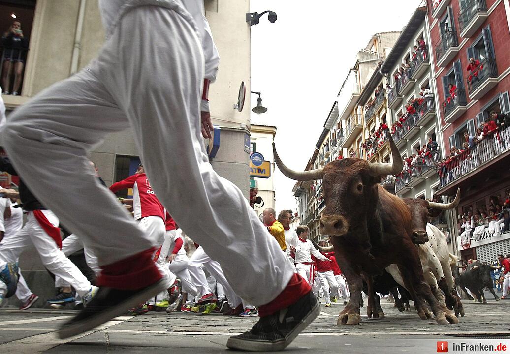 Stierhatz in Pamplona
