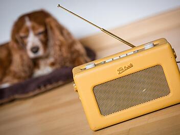 Beim Radio-Sender «Hallo Hasso» läuft Musik für Hunde. Foto: Christoph Schmidt/dpa