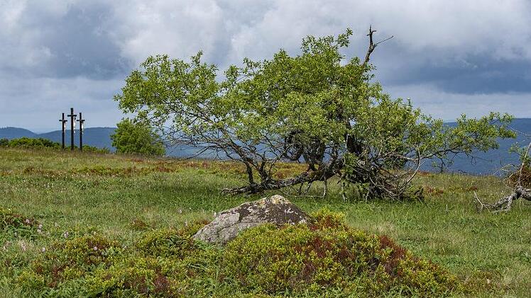 Am Kreuzberggipfel, mit Blick zu den drei Kreuzen. Foto: Jürgen Hüfner