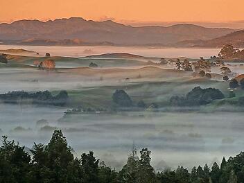 "Morning has broken" hei&szlig;t das Siegerbild von Sigrid Wolf-Feix. Foto: Sigrid Wolf-Feix