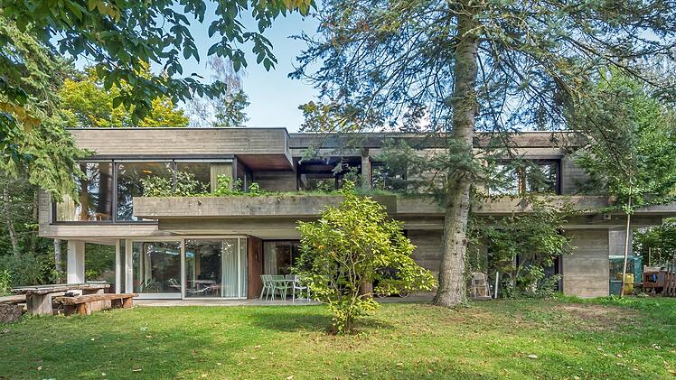 SplitImage 1767868595