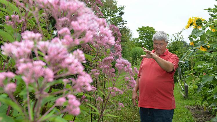 Stauden lassen sich gut mit Lilien kombinieren. Foto: Ronald Rinklef