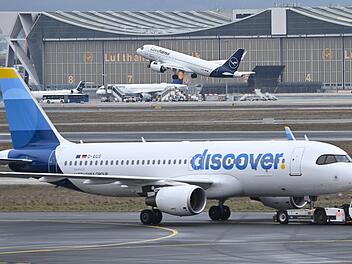 Discover