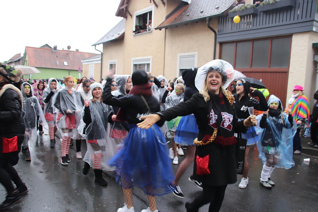 Kreisfaschingsumzug 2020