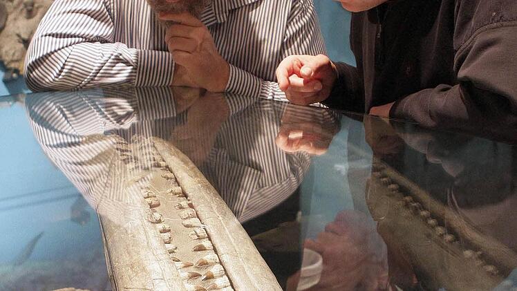 Stefan Eggmaier und Joachim Rabold, der Leiter des Bayreuther Urwelt-Museums, beim "Alien"-artigen Kopf eines Sauriers
