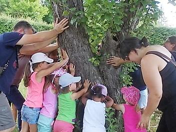 "Wir schieben den Baum weg" war eine der Bewegungsm&ouml;glichkeiten f&uuml;r die Kinder. Foto: Gertrud Iffland