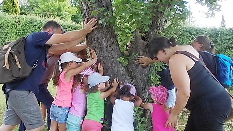 "Wir schieben den Baum weg" war eine der Bewegungsm&ouml;glichkeiten f&uuml;r die Kinder. Foto: Gertrud Iffland