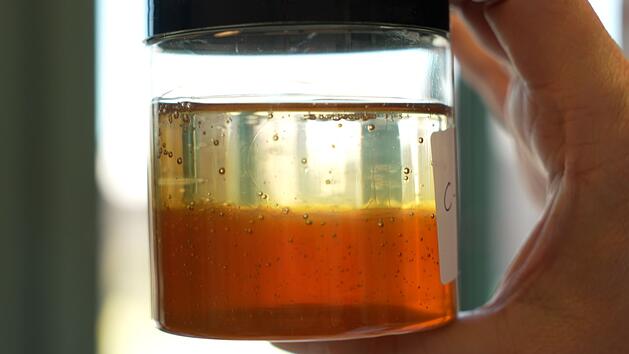 Das Verfälschen von Lebensmitteln, darunter das Strecken von Honig mit Sirup, verstößt in Deutschland gegen das Recht und stellt eine Straftat dar.