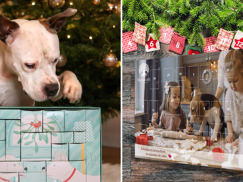 Mit den Adventskalendern für Hunde & Co. kannst du deinen Vierbeinern täglich eine Freude bereiten.