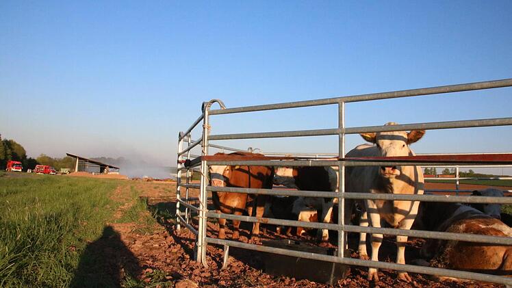Eindrücke vom Morgen nach dem Brand. Foto: Ralf Ruppert