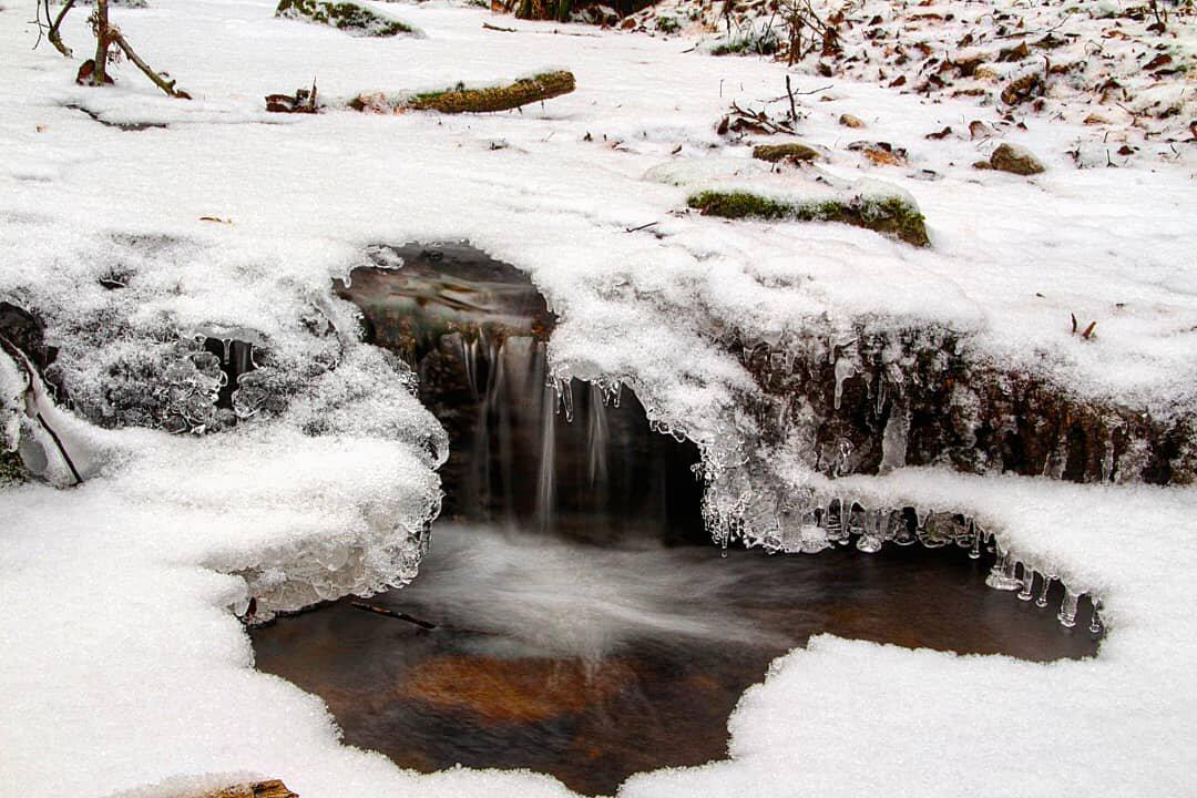 Die schönsten Winterfotos aus Bad Kissingen und Umgebung