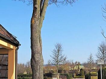 Eingang zum Hirschaider Friedhof