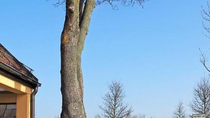 Eingang zum Hirschaider Friedhof