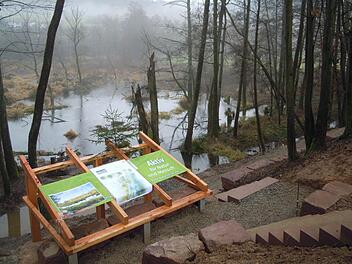 Biber-Plattform im Bau: Im Hintergrund sieht man die Biberburg, die Fundamente wurden bereits gesetzt, der Zugang zur Plattform geebnet und ein Häuschen zum Unterstellen ist im Bau. Foto: Julia Raab