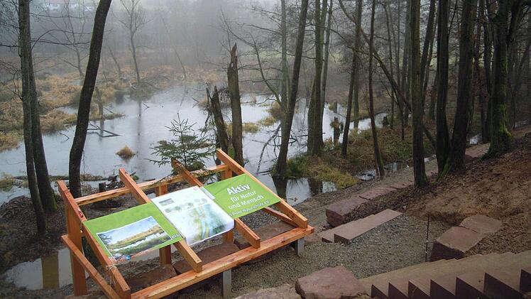 Biber-Plattform im Bau: Im Hintergrund sieht man die Biberburg, die Fundamente wurden bereits gesetzt, der Zugang zur Plattform geebnet und ein Häuschen zum Unterstellen ist im Bau. Foto: Julia Raab