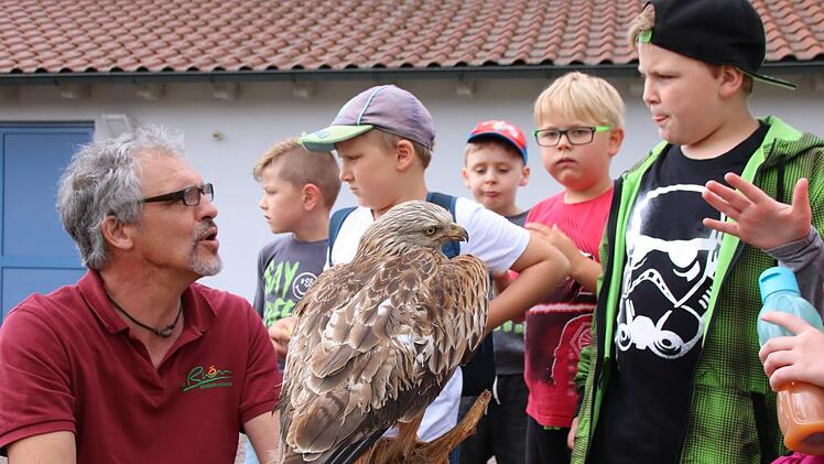 Niklas (rechts) lässt sich von Maik Prozeller Wissenswertes zum Rotmilan erzählen.  Fotos: Kathrin Kupka-Hahn