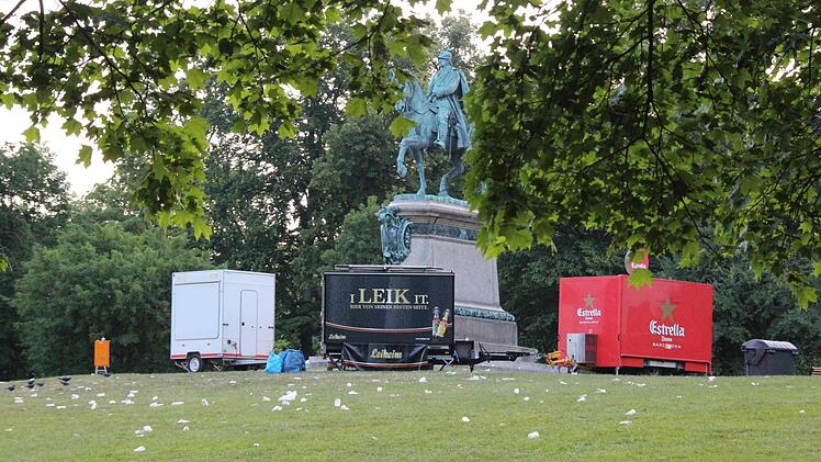 Die Wiese am Reiterdenkmal vor dem Aufräumen. Foto: Simone Bastian