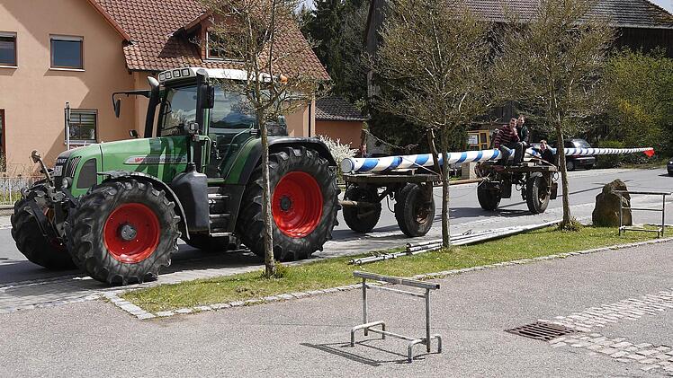 Das ist das Ding! Der Wohlbacher Maibaum kehrt zurück. Foto: Berthold Köhler