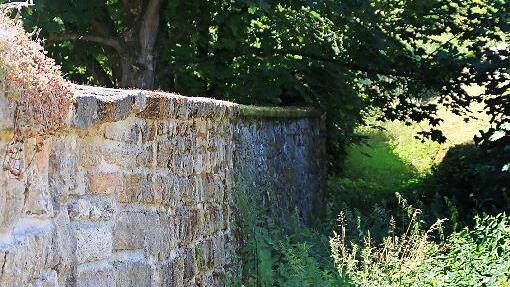 Ziemlich zugewuchert ist der Weg um die Dorfmauer. .