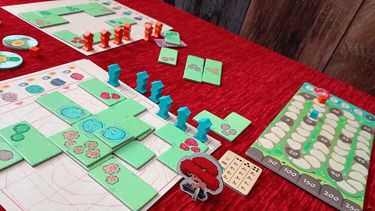 Spiele-Test "Miyabi": Wer legt den schönsten Japan-Garten?