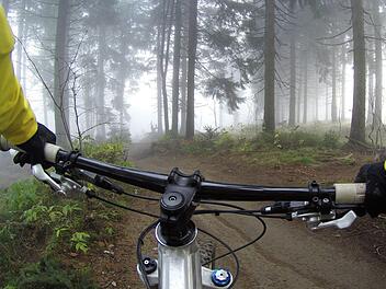 Bei seinem Versuch wieder auf die Fahrbahn zu gelangen, st&uuml;rzte der 28-J&auml;hrige. Symbolfoto: Alexandra Dech/pexels.com