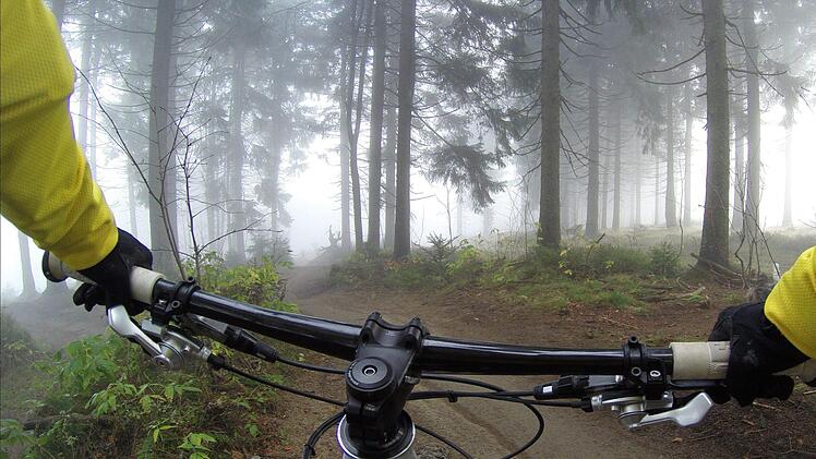 Bei seinem Versuch wieder auf die Fahrbahn zu gelangen, st&uuml;rzte der 28-J&auml;hrige. Symbolfoto: Alexandra Dech/pexels.com