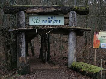 Bad Kissingen: "Wald für die Seele" bekommt neuen Standort - wo das Projekt bald zu finden ist Bad Kissingen: "Wald für die Seele" bekommt neuen Standort - wo das Projekt bald zu finden ist