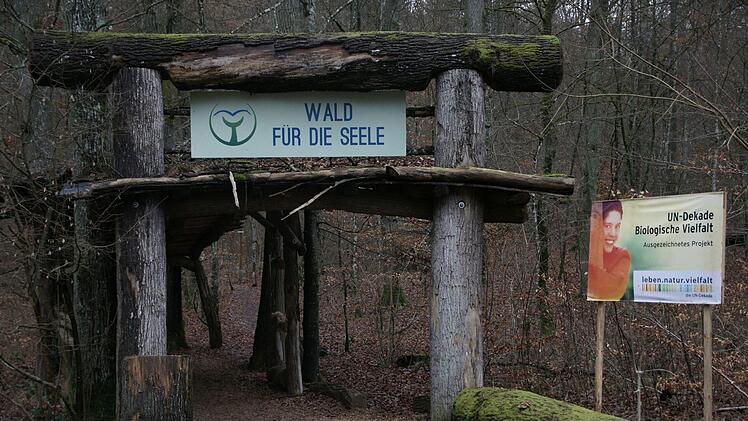 Bad Kissingen: "Wald für die Seele" bekommt neuen Standort - wo das Projekt bald zu finden ist