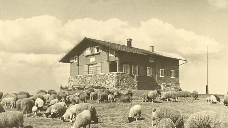 Idyll mit Rhönschafen, aufgenommen um 1950. Foto: Rhönclub
