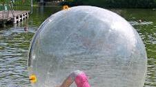 Im "Aquazorb"  Foto: Martin Rebhan