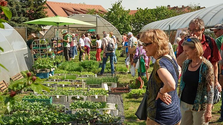 Bamberg: Tag der offenen Gärtnereien zum neunten Mal in Bamberg