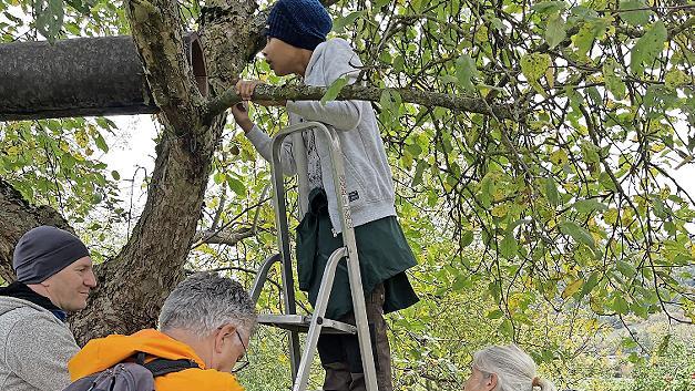 Naturpark-Rangerin Martina Faber zeigt auf den BN-Wiesen in Untererthal, wie und wo der Steinkauz lebt. Wer wollte, durfte in eine der R&ouml;hren schauen und einen Blick auf einen Kauz werfen.