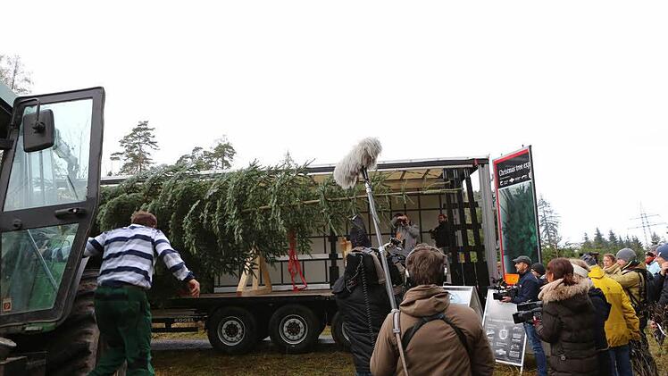 Der Baum wird in den Lkw verladen. Foto: Barbara Herbst