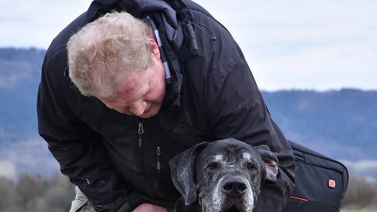 Tierheim Kronach mit Appell: Hund Jasha wurde abgegeben - "können uns sein Futter nicht mehr leisten"