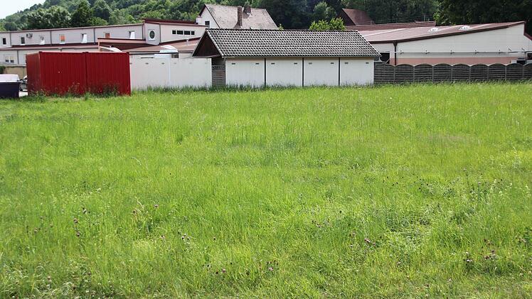 Foto: Friedwald Schedel