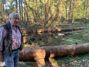 Jetzt wird aufgeforstet! Dieter Schubert, Vorsitzender des Thüringerwald-Vereins, im Wald unweit der Alexandrinenhütte.