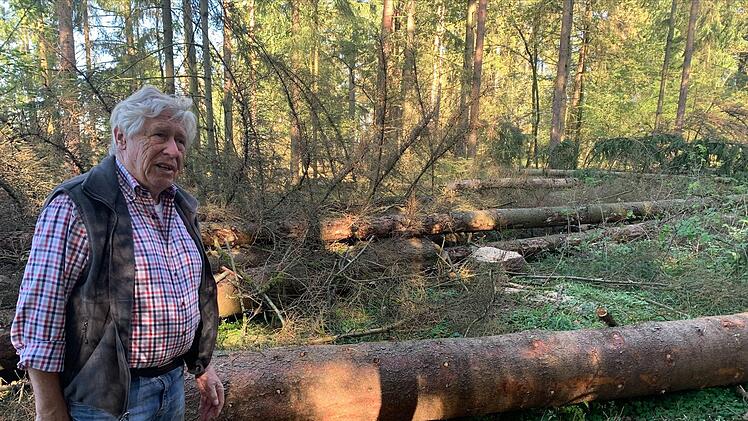 Jetzt wird aufgeforstet! Dieter Schubert, Vorsitzender des Thüringerwald-Vereins, im Wald unweit der Alexandrinenhütte.