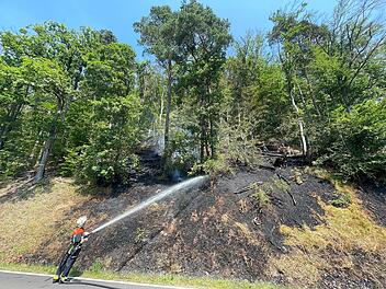 Waldbrand in Pflochsbach