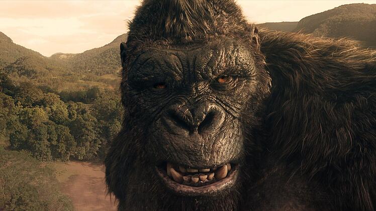 Kong wei&szlig;, was den Menschen mit der Ankunft von Titan X bl&uuml;ht.