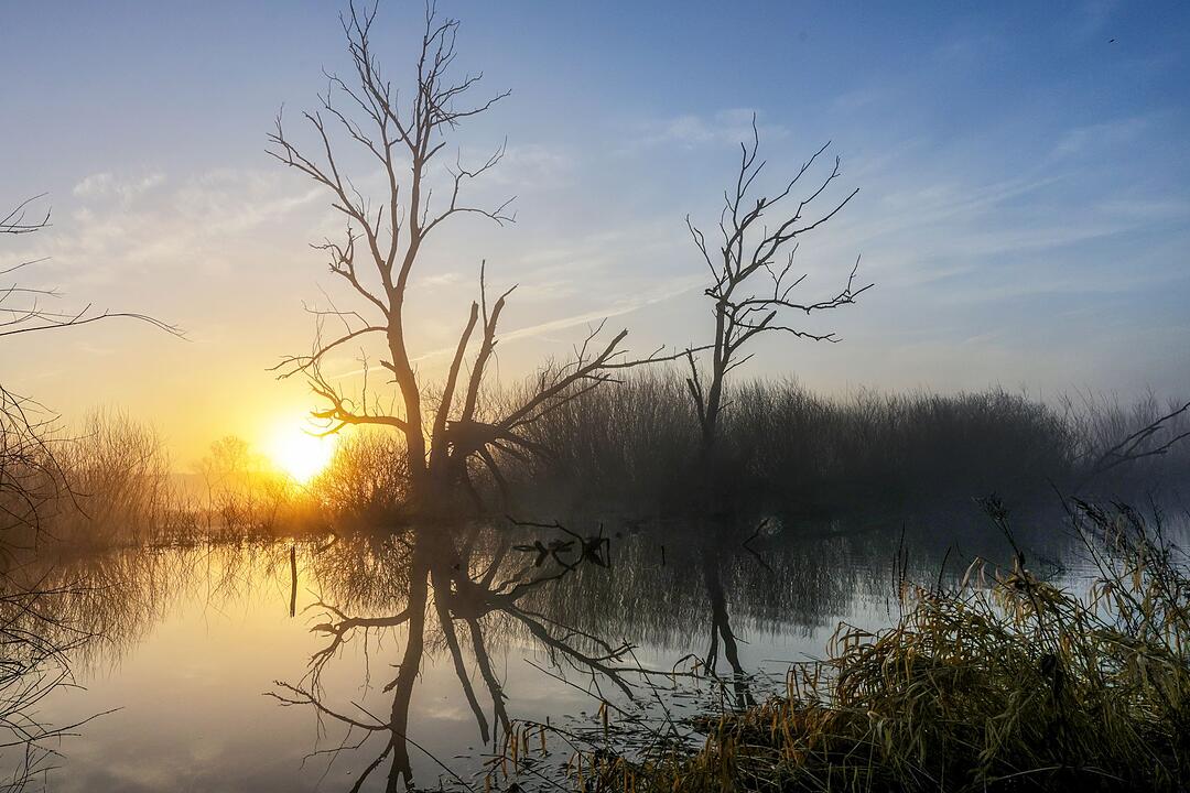 Fr&uuml;hling in Baden-W&uuml;rttemberg