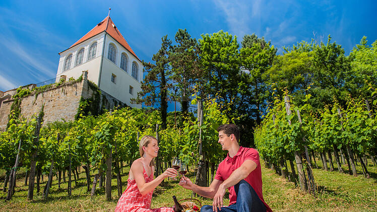 Weinberg vor dem Schloss