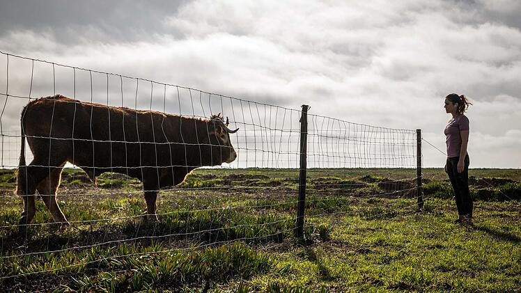 Livia (Ulrike C. Tscharre) und ihr stierischer Freund erleben die Ruhe vor dem Sturm.