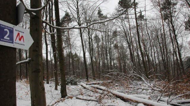 Hier ist der Wanderweg versperrt.Foto: Heike Beudert